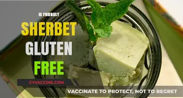 Is Friendly's Sherbet Gluten-Free? A Sweet and Safe Answer