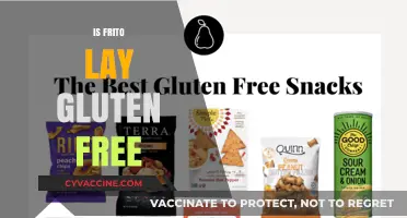 Is Frito Lay Gluten Free? A Snack Lover's Guide