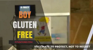 Is Frosty Boy Gluten Free? A Complete Guide for Celiacs