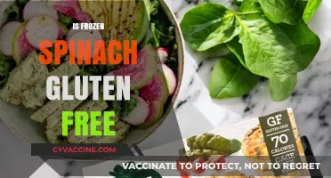 Is Frozen Spinach Gluten-Free? A Clear and Simple Answer