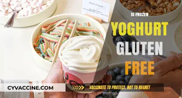 Is Frozen Yogurt Gluten-Free? A Complete Guide for Celiac Sufferers