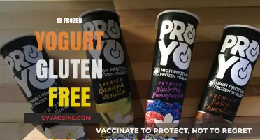 Is Frozen Yogurt Gluten-Free? A Complete Guide for Celiac Diets