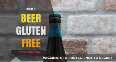 Is Fruit Beer Gluten-Free? Exploring Options for Celiac Drinkers