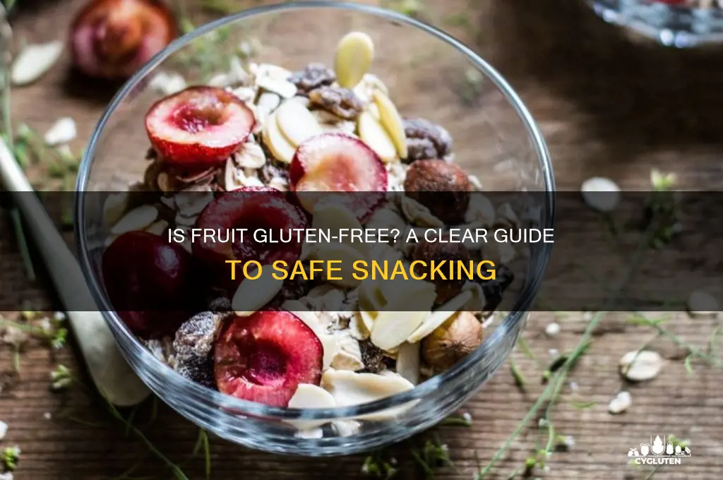 is fruit gluten-free