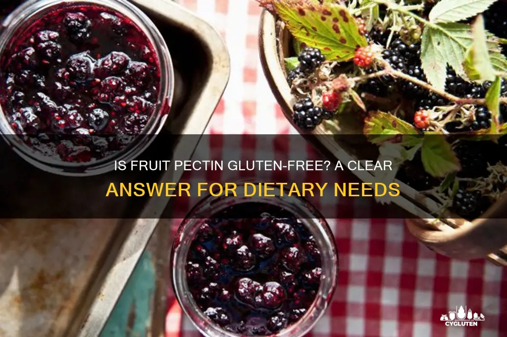 is fruit pectin gluten free