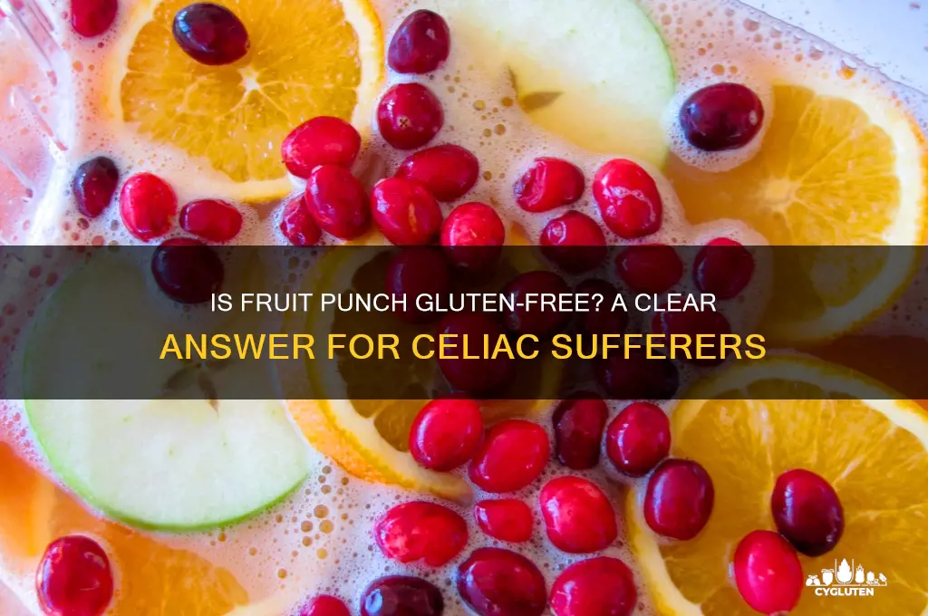 is fruit punch gluten free
