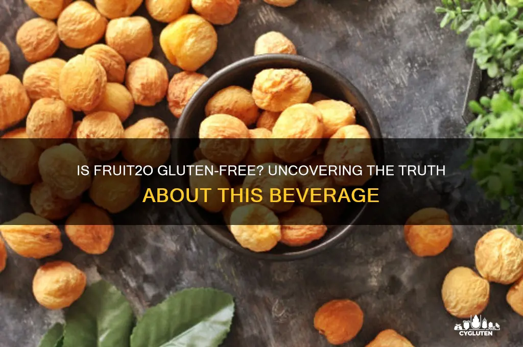 is fruit2o gluten free