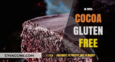 Is Fry's Cocoa Gluten-Free? A Comprehensive Guide for Chocolate Lovers