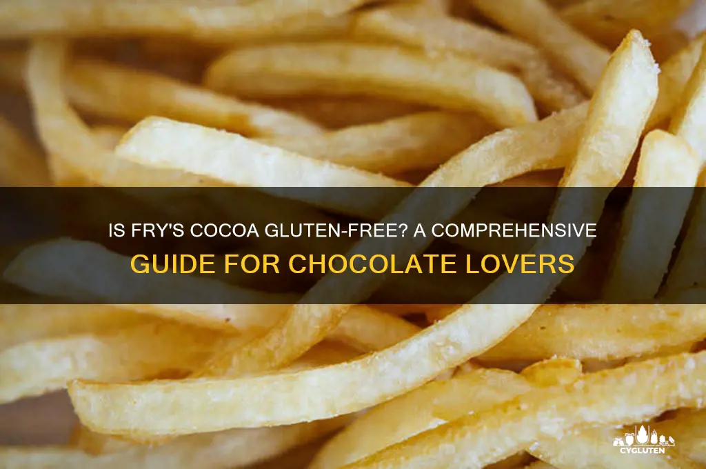 is frys cocoa gluten free