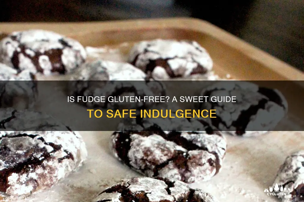 is fudge gluten-free