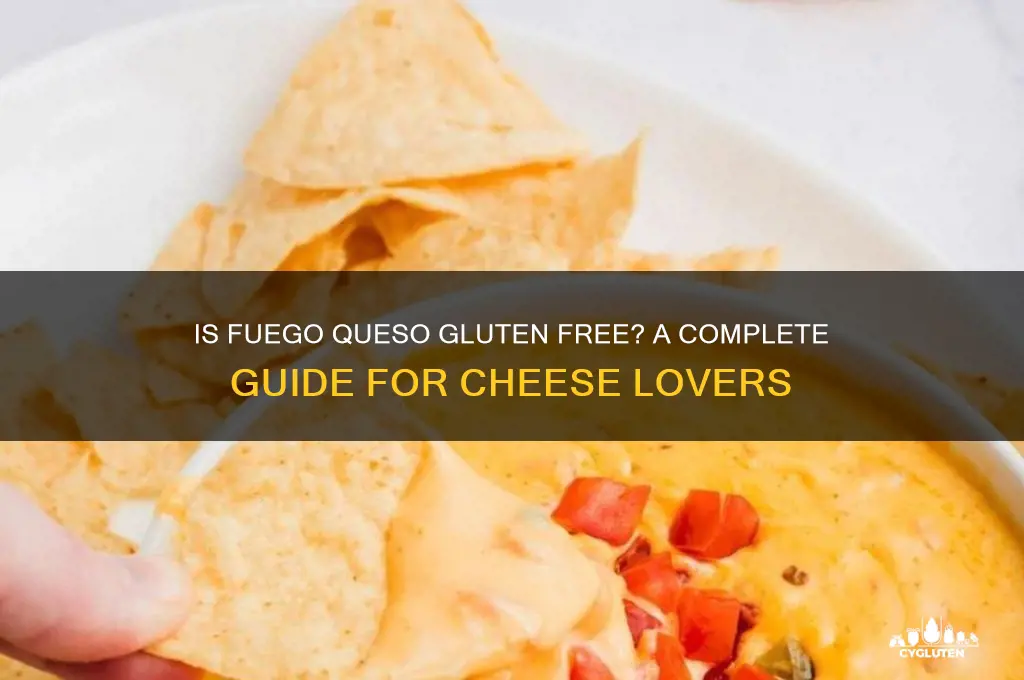 is fuego queso gluten free