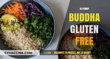 Is Funky Buddha Gluten-Free? Exploring the Brewery's Celiac-Safe Options