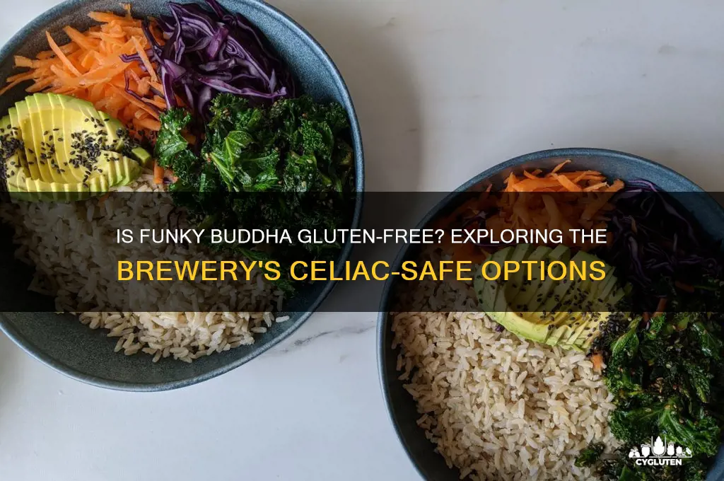 is funky buddha gluten free