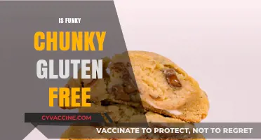 Is Funky Chunky Gluten-Free? A Tasty Snack Fact Check