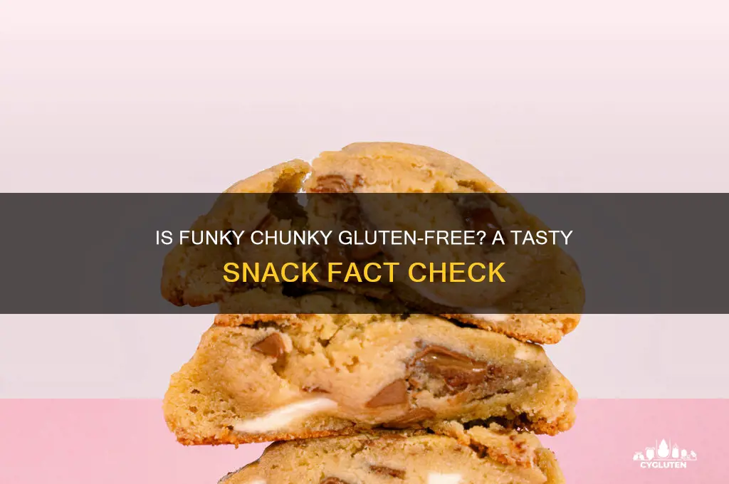 is funky chunky gluten free