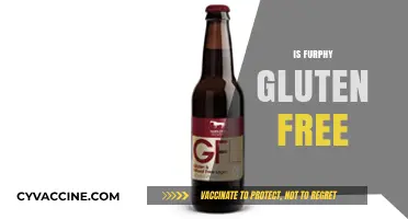 Is Furphy Gluten Free? Uncovering the Truth About This Beer