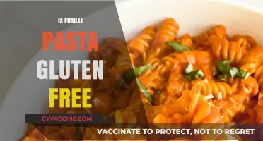 Is Fusilli Pasta Gluten-Free? A Guide to Safe Pasta Options