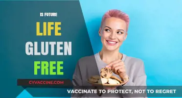 Exploring the Gluten-Free Future: Trends, Innovations, and Lifestyle Shifts