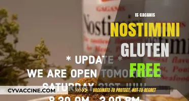 Is Gaganis Nostimini Gluten-Free? A Comprehensive Guide for Dieters