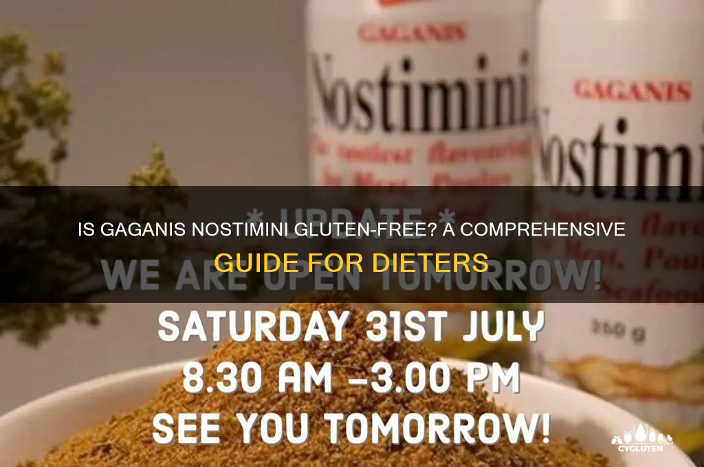 is gaganis nostimini gluten free
