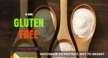 Is Gain Gluten Free? Uncovering the Truth for Celiac Diets