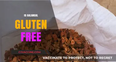 Is Galangal Gluten Free? A Comprehensive Guide to This Spice