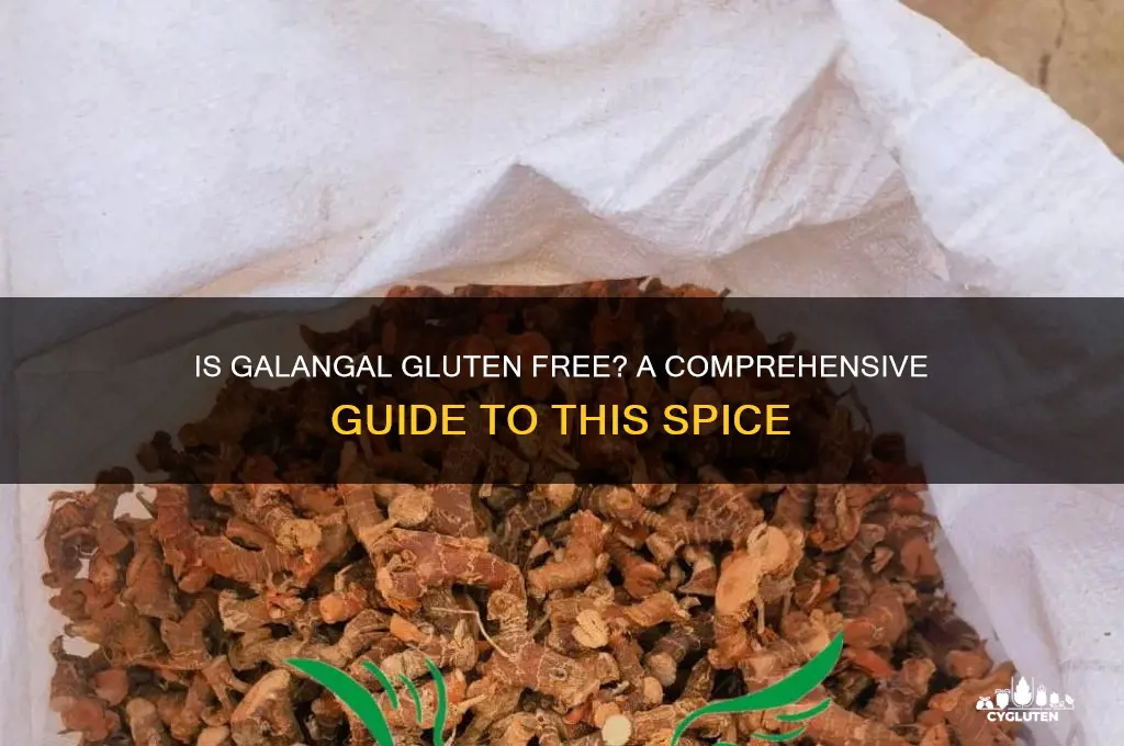 is galangal gluten free