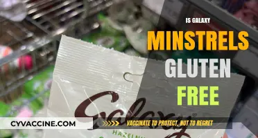 Are Galaxy Minstrels Gluten-Free? A Sweet Snack Fact Check