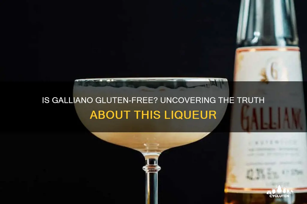 is galliano gluten free