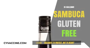 Is Galliano Sambuca Gluten-Free? A Detailed Look at Ingredients