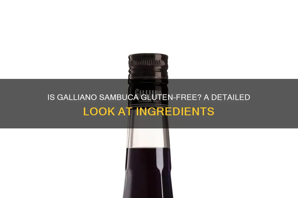 is galliano sambuca gluten free