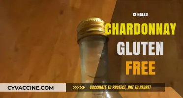Is Gallo Chardonnay Gluten-Free? A Complete Guide for Wine Lovers