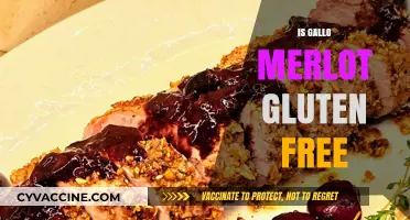 Is Gallo Merlot Gluten-Free? A Guide to Wine Choices