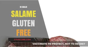 Is Gallo Salame Gluten-Free? A Complete Guide for Celiac Diets