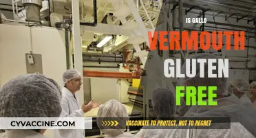 Is Gallo Vermouth Gluten-Free? A Complete Guide for Drinkers