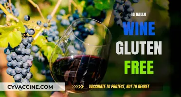 Is Gallo Wine Gluten-Free? A Complete Guide for Wine Lovers