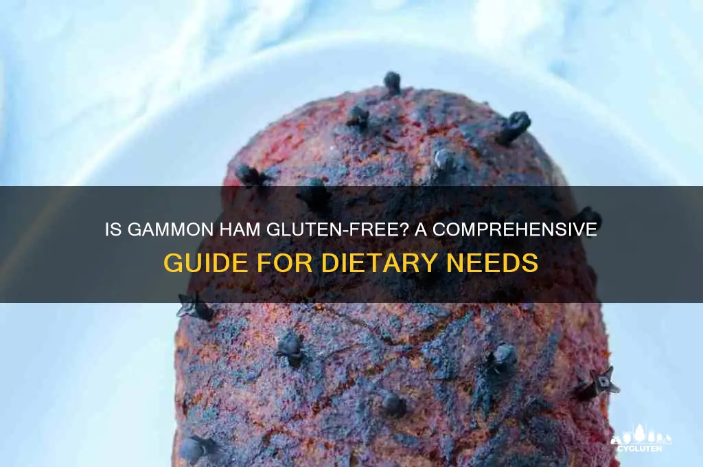 is gammon ham gluten free
