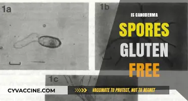 Is Ganoderma Spores Gluten-Free? A Comprehensive Guide for Health Enthusiasts