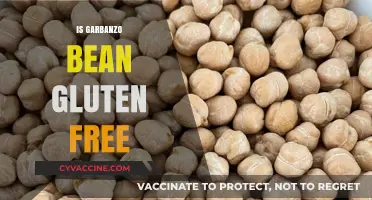 Are Garbanzo Beans Gluten-Free? A Complete Guide for Celiacs