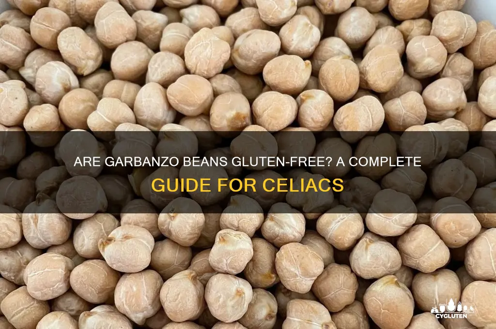 is garbanzo bean gluten free