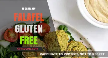 Is Garbanzo Falafel Gluten-Free? A Complete Guide for Celiacs
