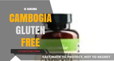 Is Garcinia Cambogia Gluten-Free? A Comprehensive Dietary Guide