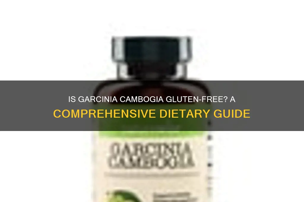 is garcinia cambogia gluten free