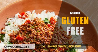 Is Gardein Gluten-Free? A Comprehensive Guide to Their Products