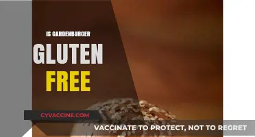 Is Gardenburger Gluten-Free? A Complete Guide to Ingredients and Options