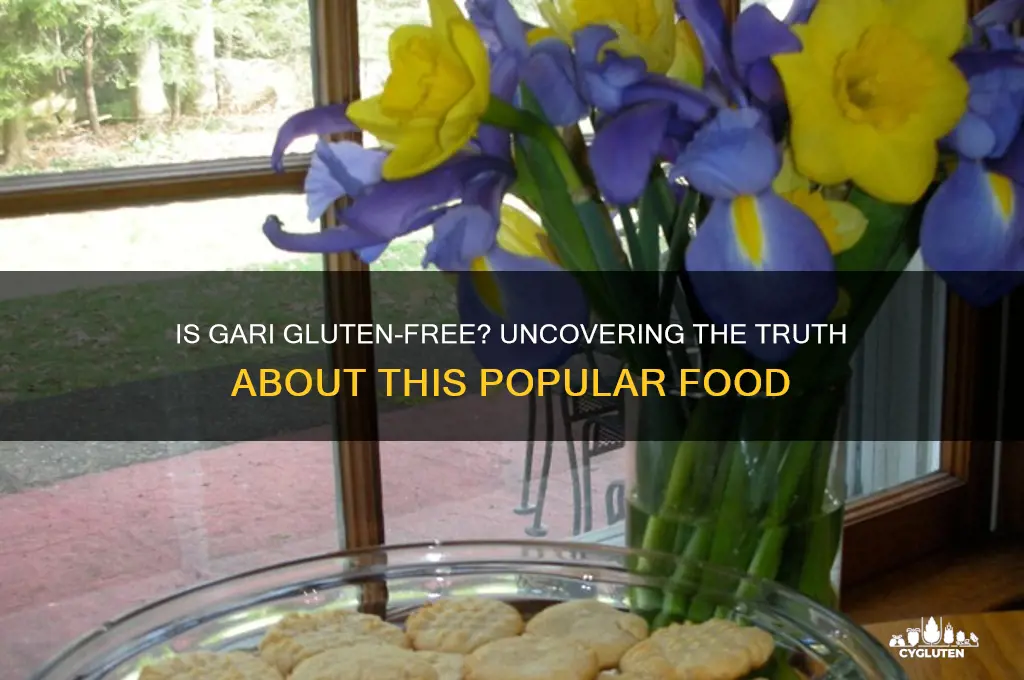 is gari gluten free