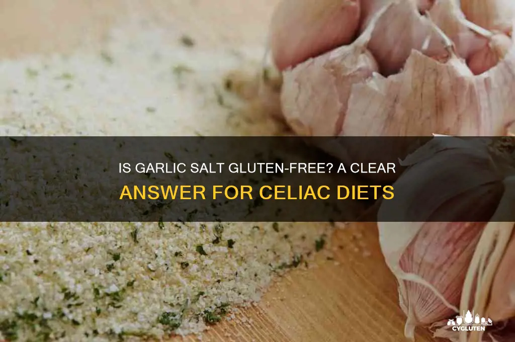 is garlic salt gluten-free