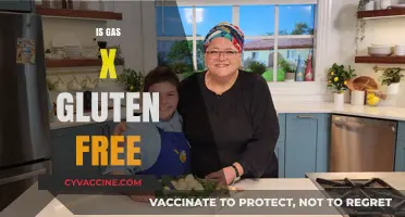 Is Gas-X Gluten-Free? A Comprehensive Guide to Its Ingredients