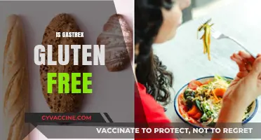 Is Gastrex Gluten Free? A Comprehensive Guide to Its Ingredients