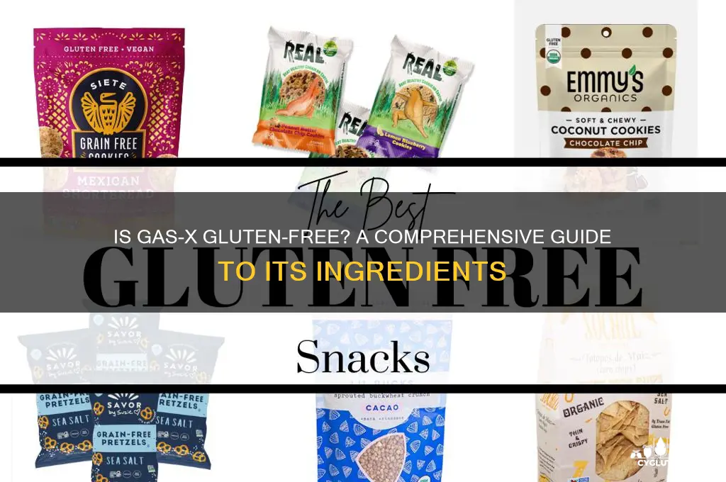 is gasx gluten free